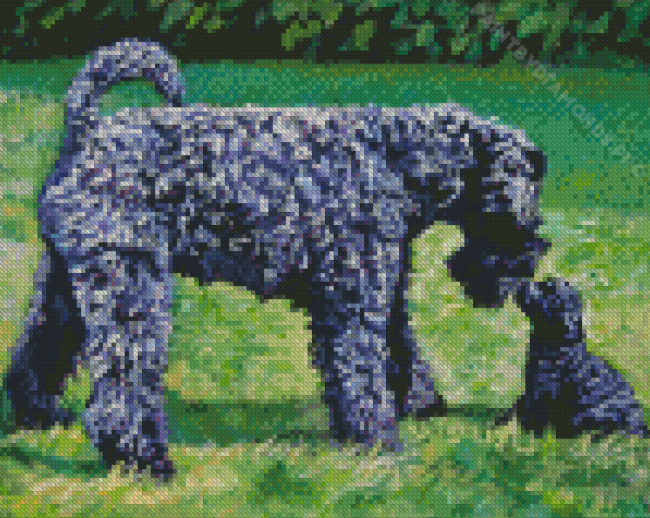 Kerry Blue Terrier Diamond Painting