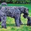 Kerry Blue Terrier Diamond Painting