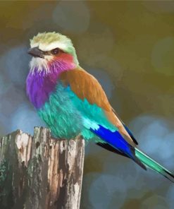 Lilac Breasted Roller Diamond Painting