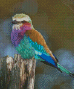 Lilac Breasted Roller Diamond Painting