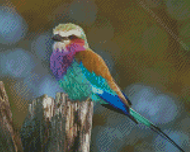 Lilac Breasted Roller Diamond Painting