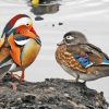 Mandarin Duck And Wood Duck Diamond Painting