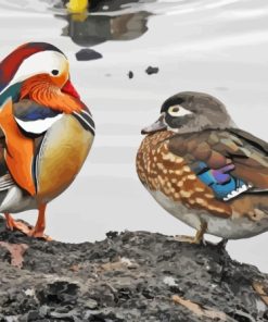 Mandarin Duck And Wood Duck Diamond Painting