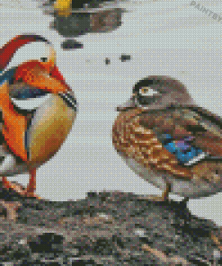 Mandarin Duck And Wood Duck Diamond Painting