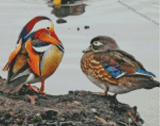 Mandarin Duck And Wood Duck Diamond Painting