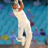 Marnus Labuschagne Player Diamond Painting