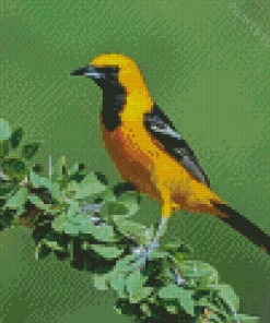 Old World Orioles Bird Diamond Painting