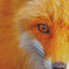 Orange Fox Side Face Diamond Painting