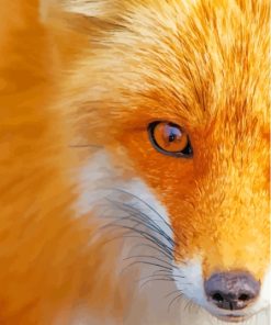 Orange Fox Side Face Diamond Painting