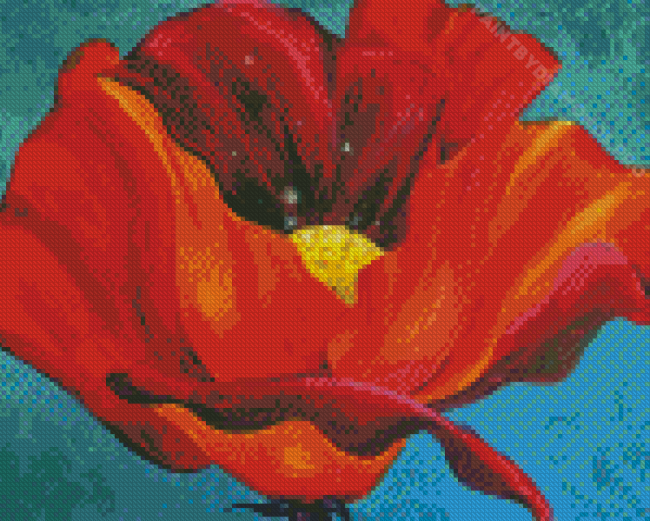 Red Poppy Georgia Okeefe Diamond Painting