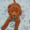 Red Golden Doodle In Snow Diamond Painting