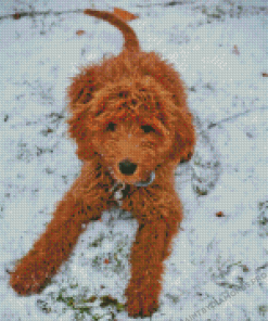 Red Golden Doodle In Snow Diamond Painting