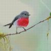 Rose Robin On Tree Branch Diamond Painting