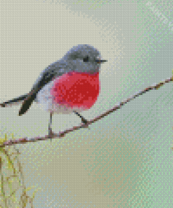 Rose Robin On Tree Branch Diamond Painting