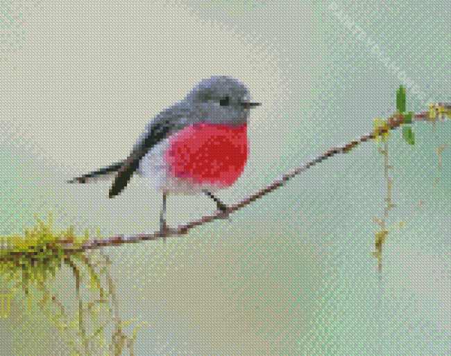 Rose Robin On Tree Branch Diamond Painting