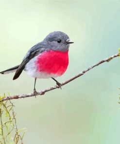 Rose Robin On Tree Branch Diamond Painting