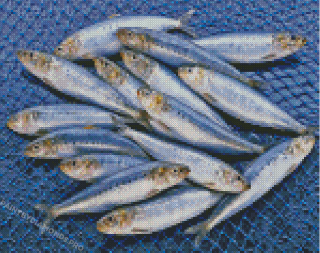 Sardines Fish Diamond Painting