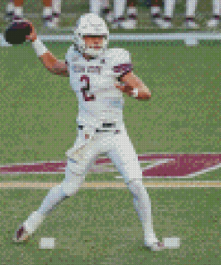 Texas State Bobcats Team Player Diamond Painting