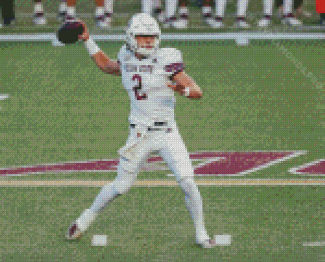 Texas State Bobcats Team Player Diamond Painting