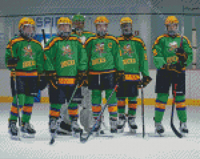 The Mighty Ducks Diamond Painting