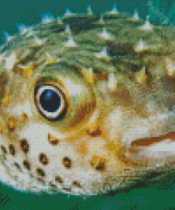 The Puffer Fish Underwater Diamond Painting