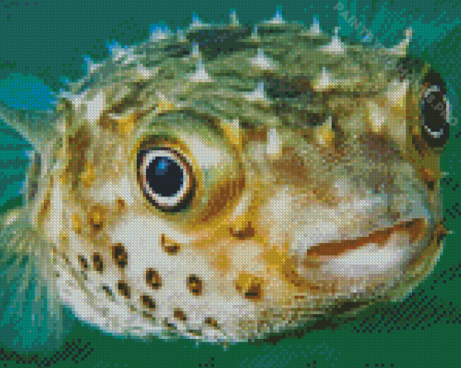 The Puffer Fish Underwater Diamond Painting