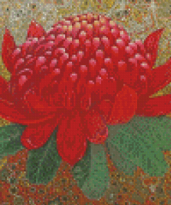 Waratah Art Diamond Painting