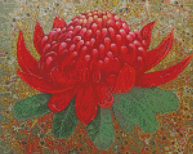 Waratah Art Diamond Painting