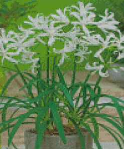 White Nerine Plant Pot Diamond Painting