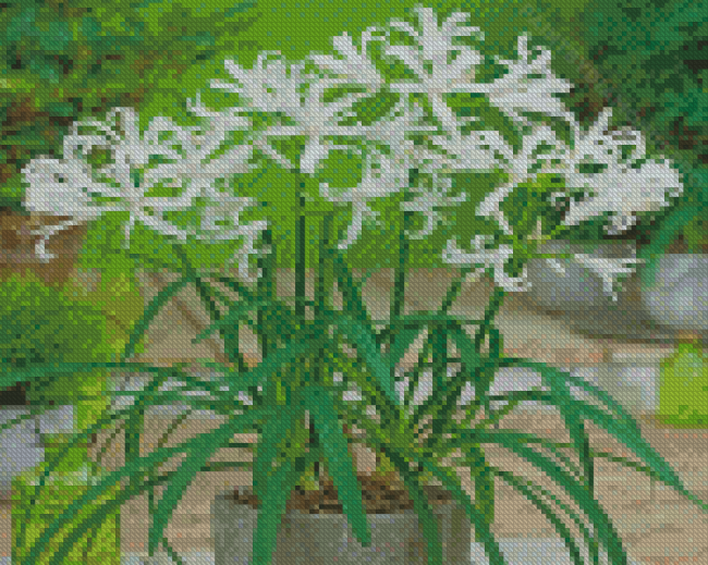 White Nerine Plant Pot Diamond Painting