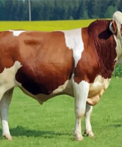 White And Brown Simmental Cattle Diamond Painting