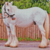 White Cob Horse Animal Diamond Painting