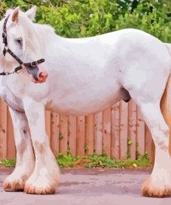 White Cob Horse Animal Diamond Painting