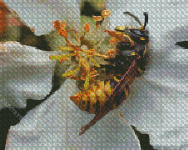 Yellow Jacket On White Flower Diamond Painting