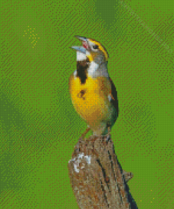 Aesthetic Dickcissel Diamond Painting