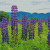 Aesthetic Lupines Field Nature Diamond Painting