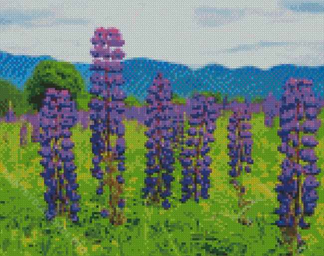 Aesthetic Lupines Field Nature Diamond Painting