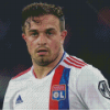 Aesthetic Xherdan Shaqiri Diamond Painting