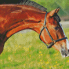 Brown Horse Animal In Farm Diamond Painting