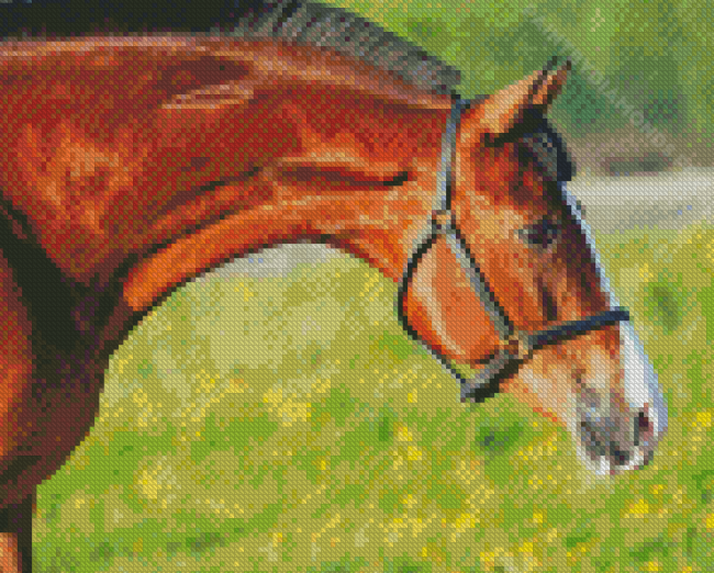 Brown Horse Animal In Farm Diamond Painting