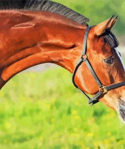 Brown Horse Animal In Farm Diamond Painting