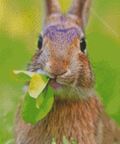 Bunny Eating Grass Diamond Painting