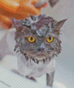 Cat Taking Shower Diamond Painting