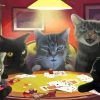 Cats Playing Cards Diamond Painting