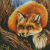 Cool Red Fox Diamond Painting