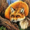 Cool Red Fox Diamond Painting