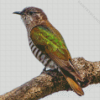 Cool Shining Bronze Cuckoo Diamond Painting