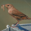 Cool California Wren Diamond Painting