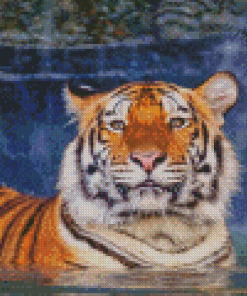 Cute Tiger In The Water Diamond Painting