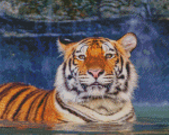 Cute Tiger In The Water Diamond Painting